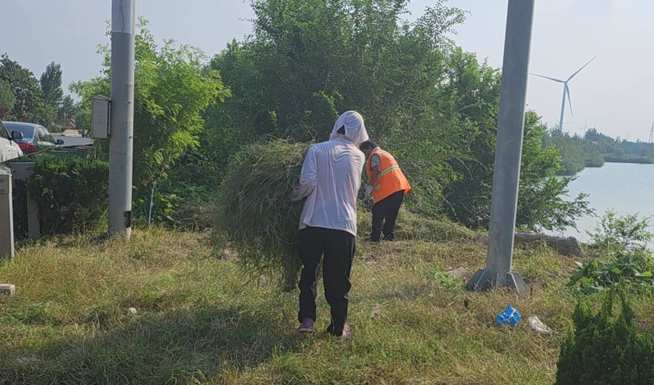 庆云公路分中心开展汛期绿化修剪作业