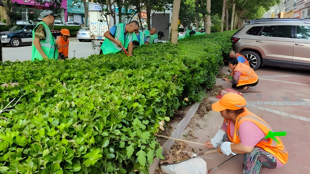 德州及时整治道路街巷卫生 确保雨后市容环境整洁