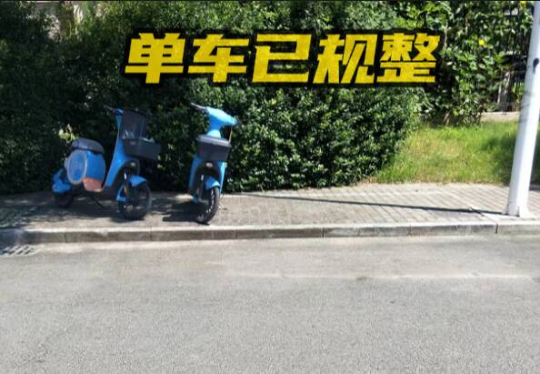 網絡問政·辦實事 | 留言后 共享單車已規范停放