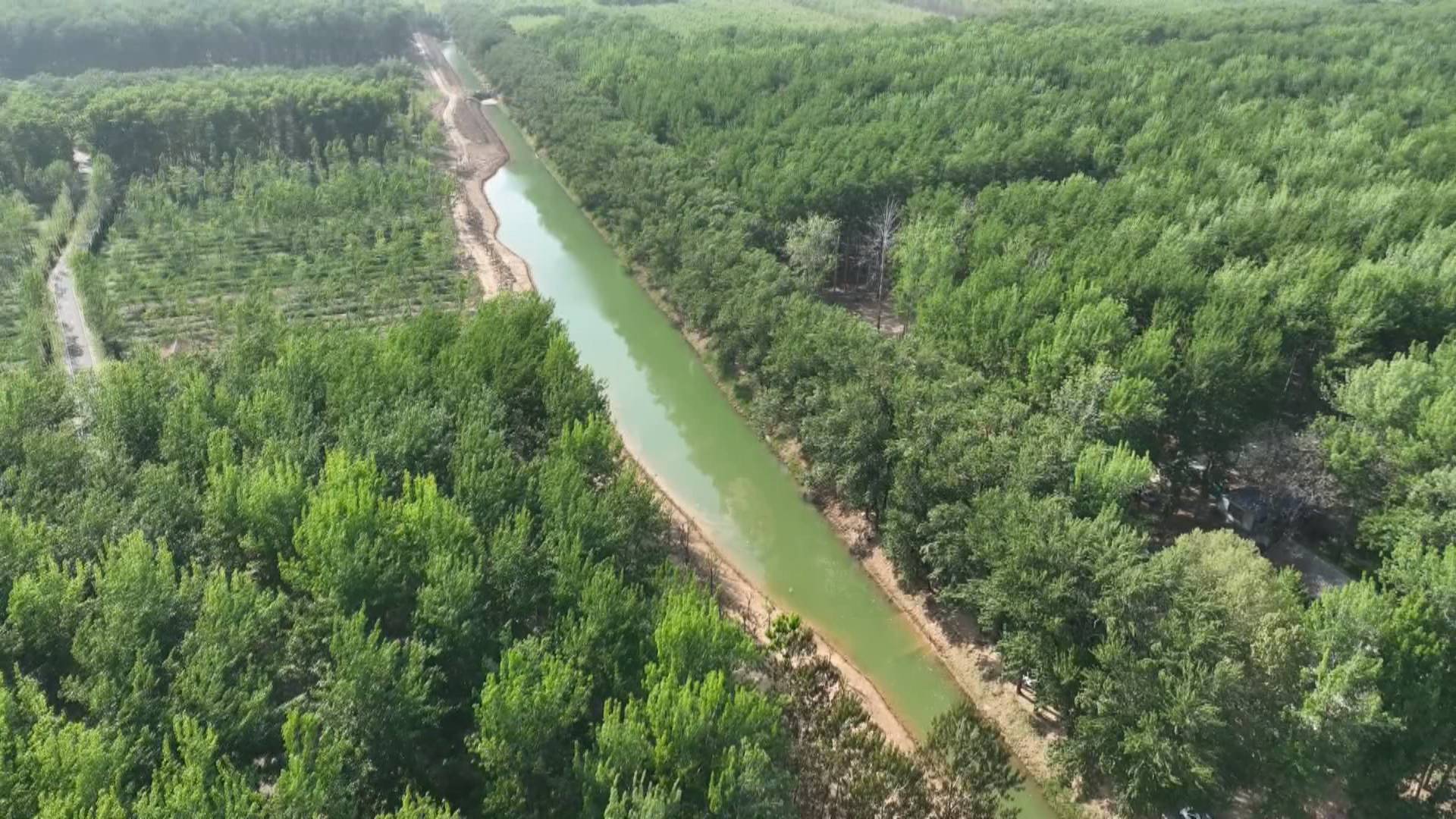 高唐清平森林公园简介图片