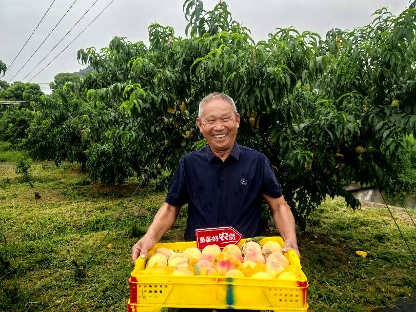 拼多多陳磊：未來利潤將逐步進入下降趨勢，這是長期健康必要的代價