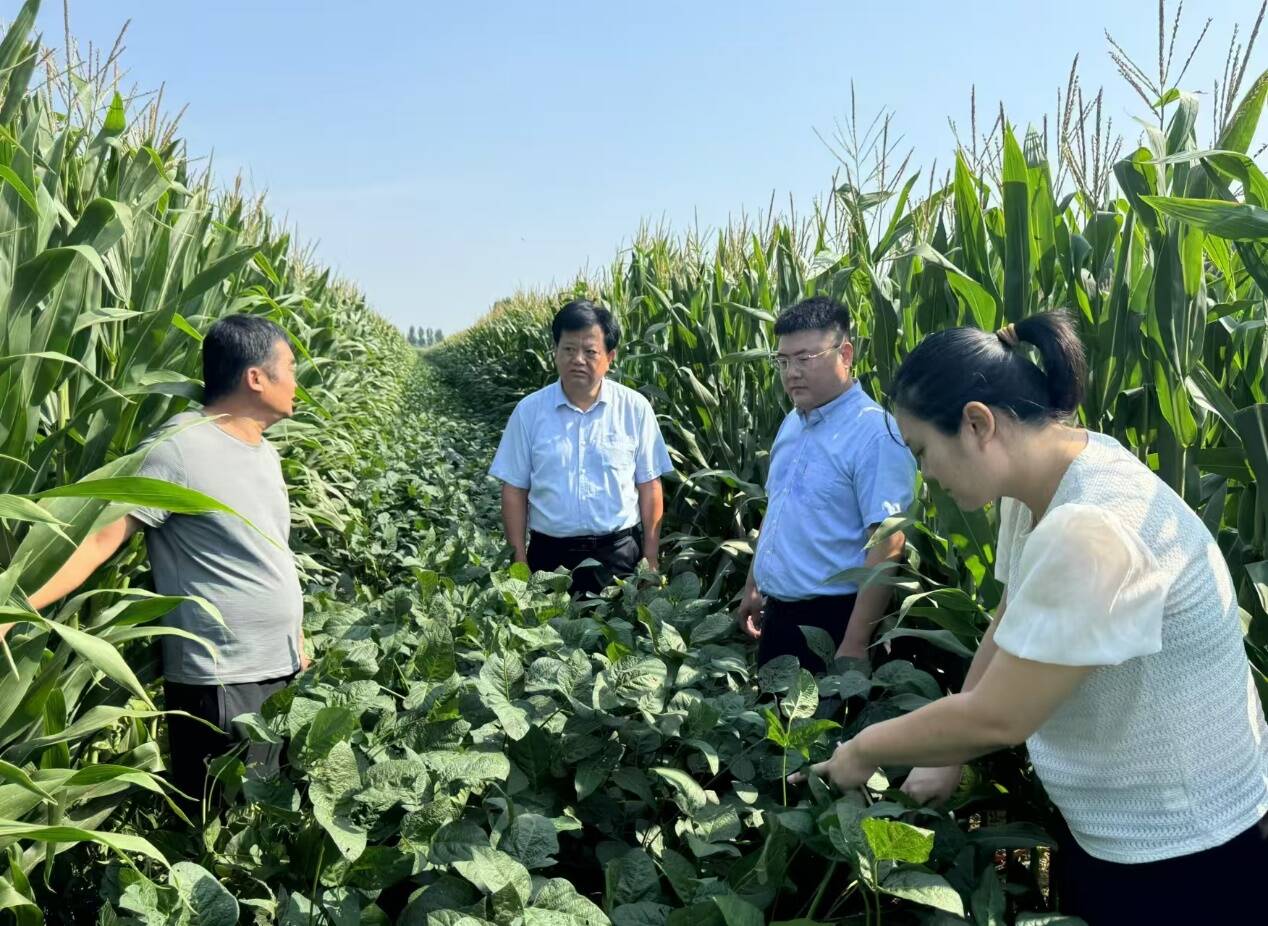 全国碳市场迎首轮扩容 水泥、钢铁、电解铝三行业纳入