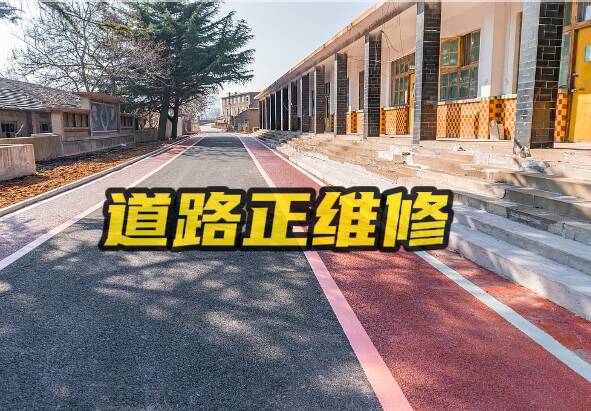 網絡問政·辦實事 | 政府積極回應網友訴求 組織修繕村內道路