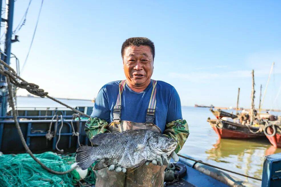 来日照，实现“海鲜自由”