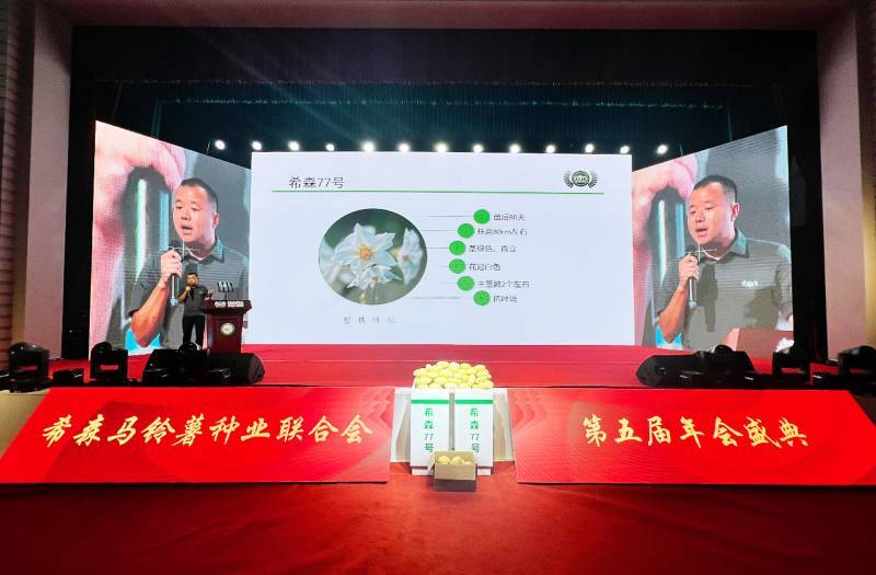德州：国产马铃薯品种上新 将打破薯条用马铃薯品种国外垄断