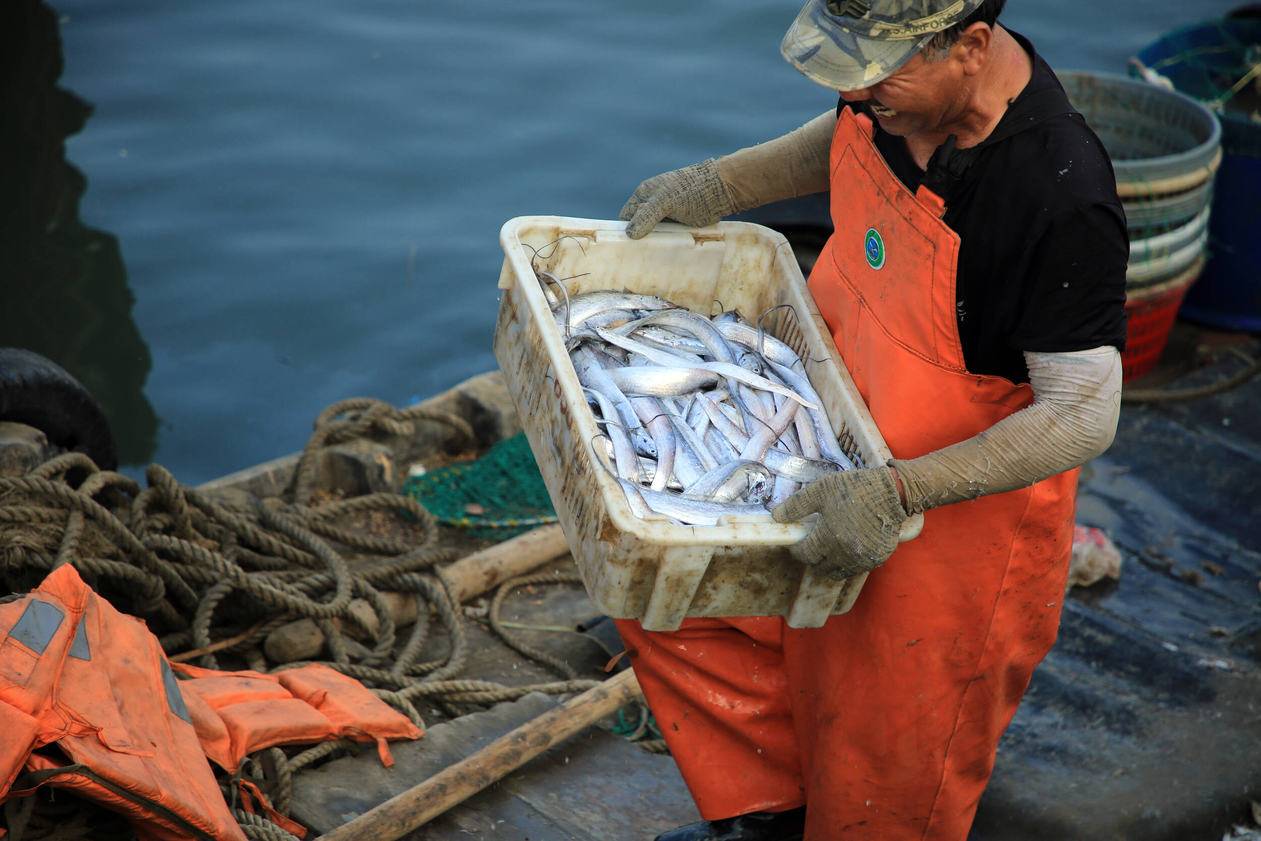 開海季！來日照“抱港魚市”實現海鮮自由