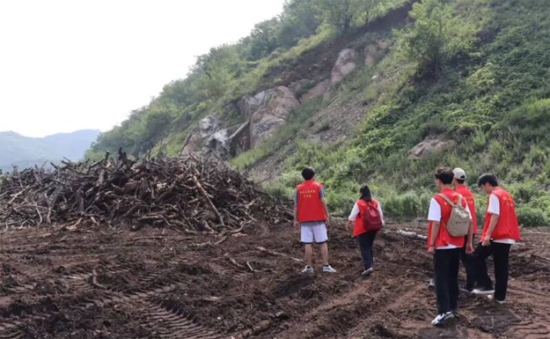 烟台：开展暑期三下星空体育官方网页版乡社会实践活动 振兴绿色新乡村(图2)