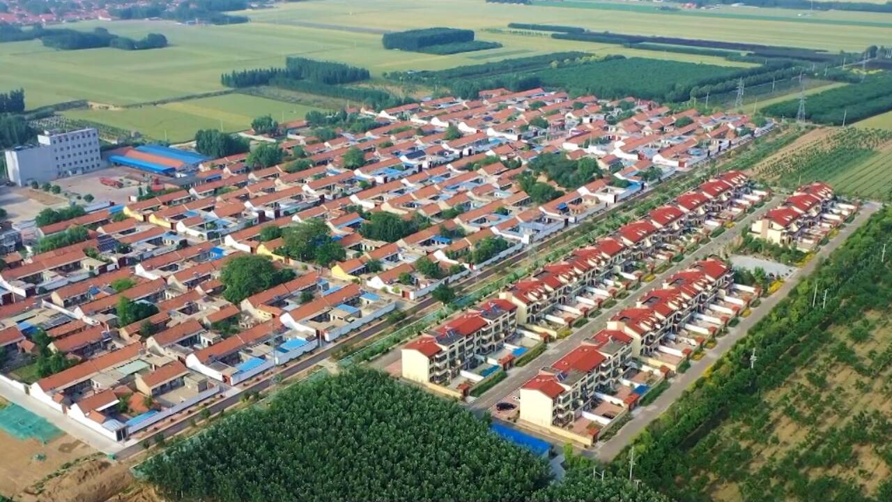 东营：喜迎丰收节 歌唱乡村振兴美好愿景