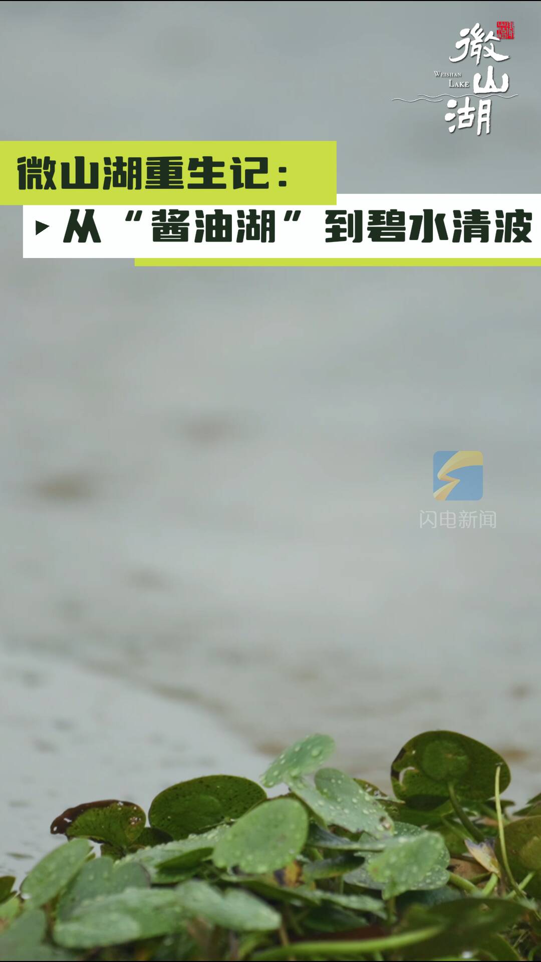 微山湖重生記：從“醬油湖”到碧水清波