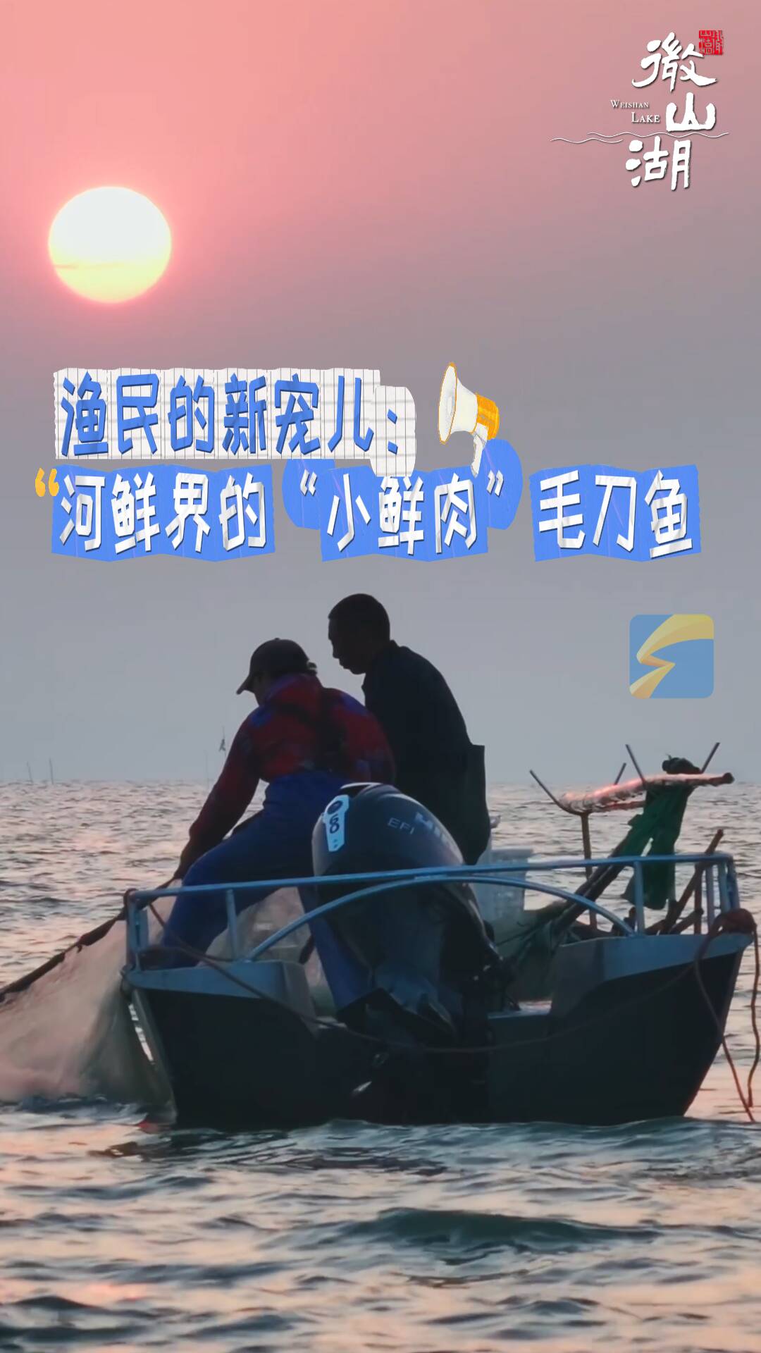 漁民的新寵兒：河鮮界的“小鮮肉”毛刀魚(yú)