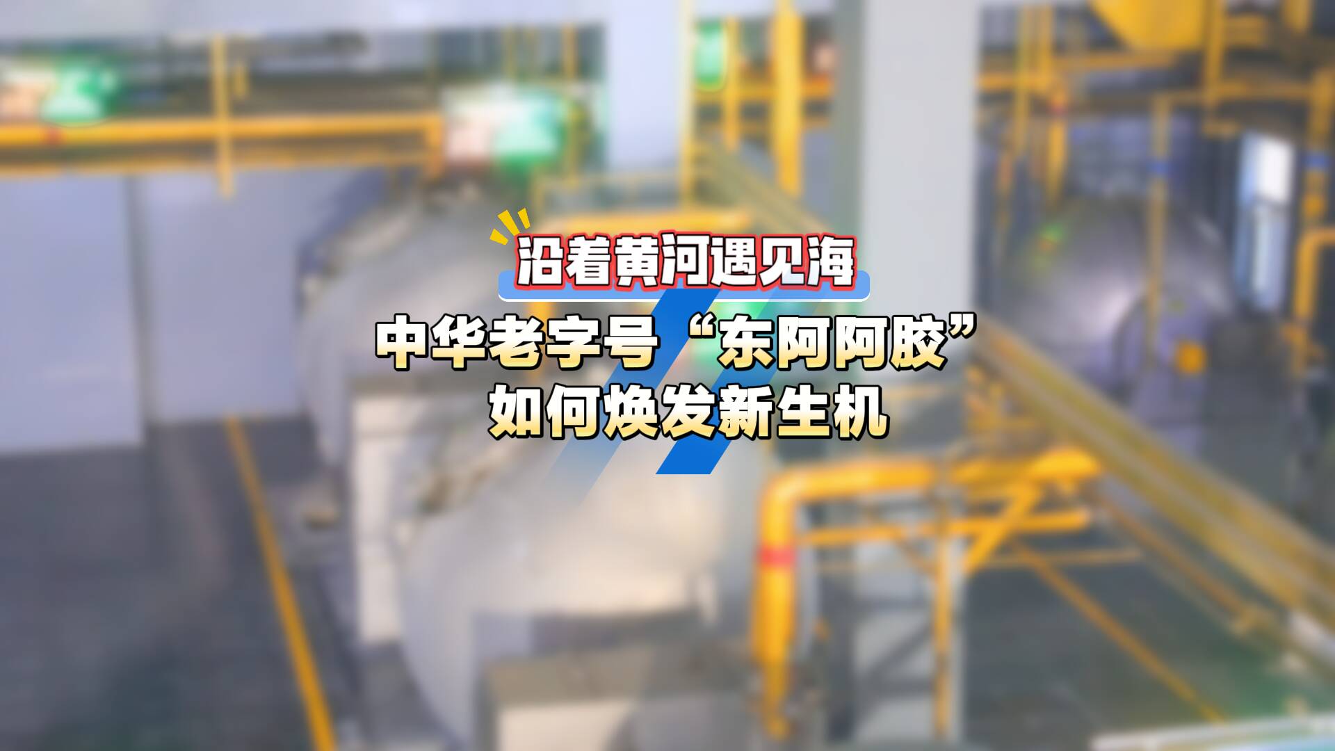 沿著黃河遇見海｜在阿膠世界，看中華老字號“東阿阿膠”如何煥發(fā)新生機