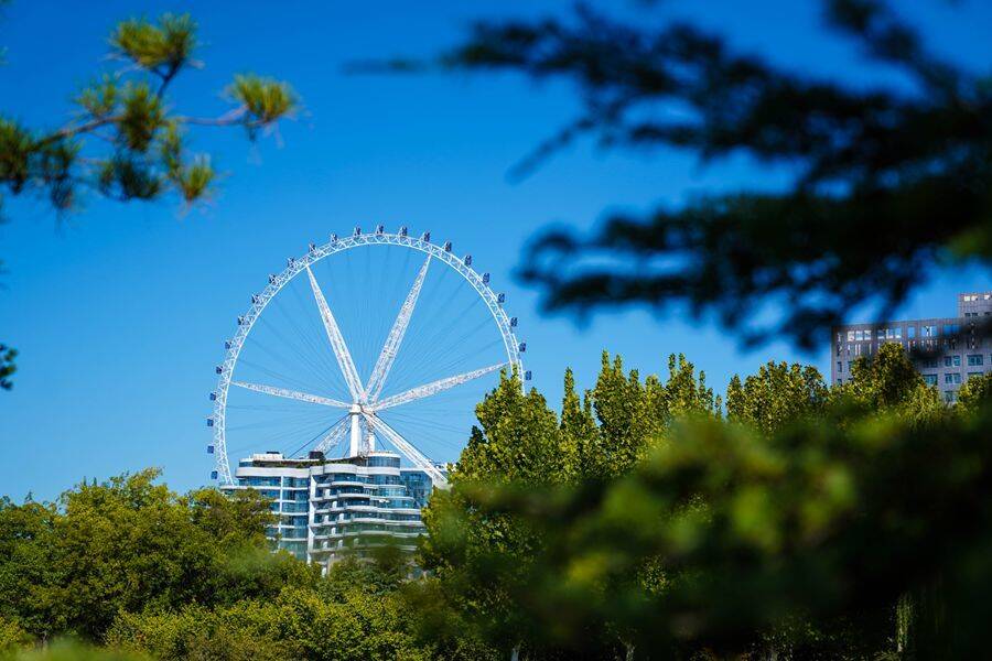 凤凰苑植物园：秋意渐浓 秋色正美