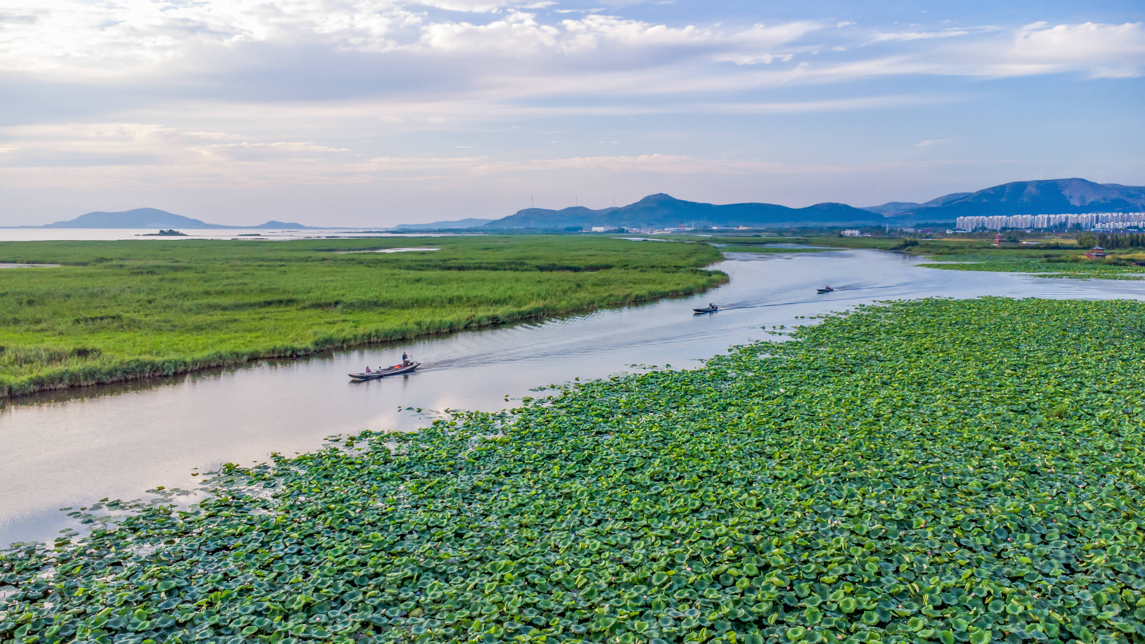 大省挑大梁·绿色先行丨不见“竿连竿” 再现“水连天” 东平湖建立专业化全民“护湖”