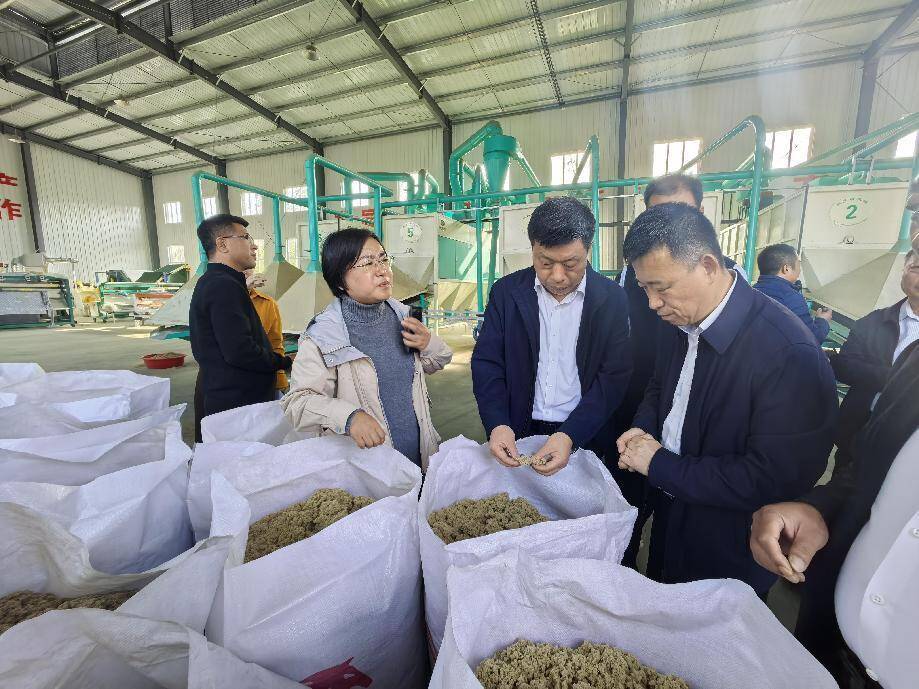沂水县召开富民强村壮镇第一书记怎么办推动落实会议
