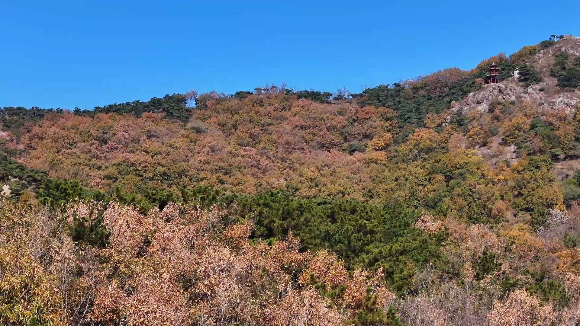 临沂市5部剧（节）目在第十三届山东文化艺术节获奖