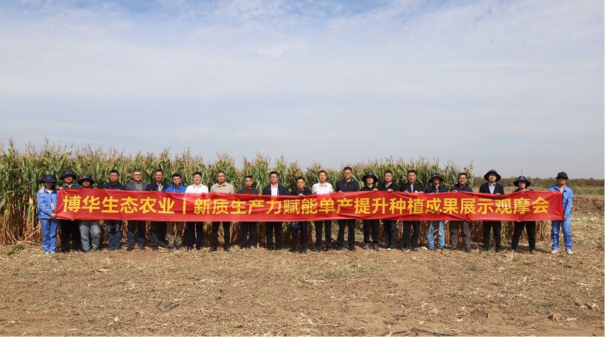 新質生產力賦能玉米單產提升，博華生態農業示范田畝產突破1600斤