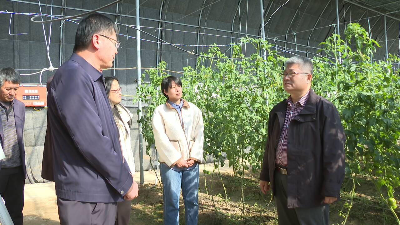 东营市河口区：强化农技指导 科学冬管保丰收