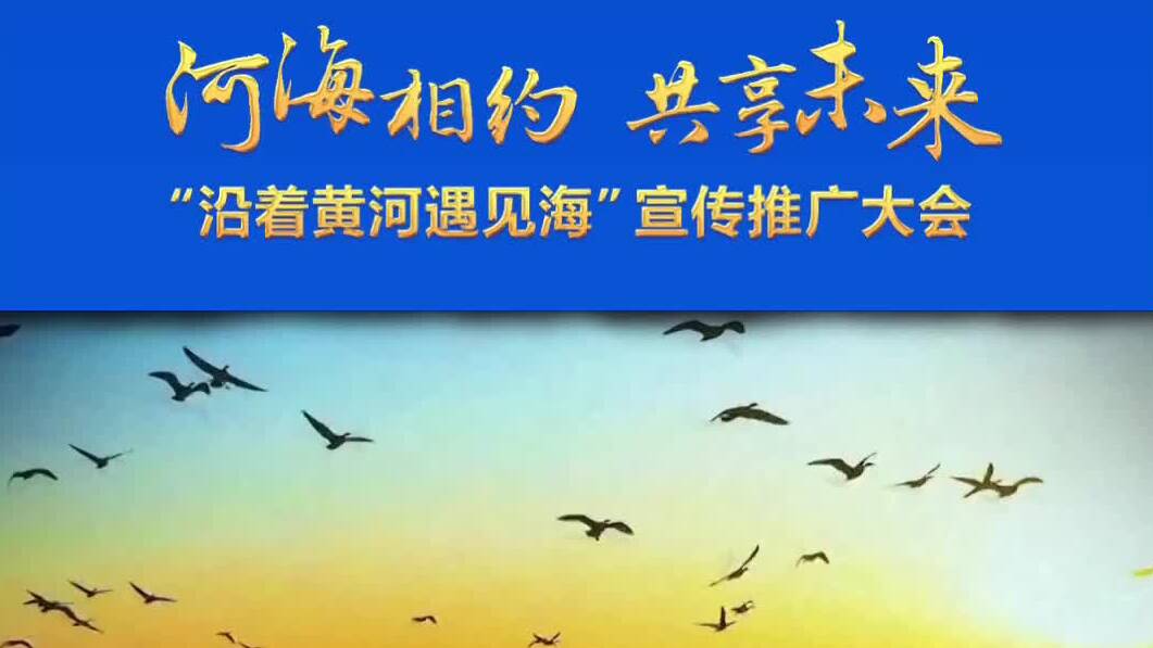 “黃河入海” “超萌磕頭機”  跟著鄧雅文一起打卡東營！