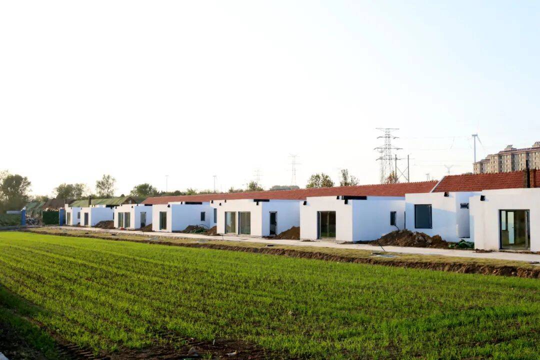 威海经开区龙山湖:用创意点亮乡村振兴之路