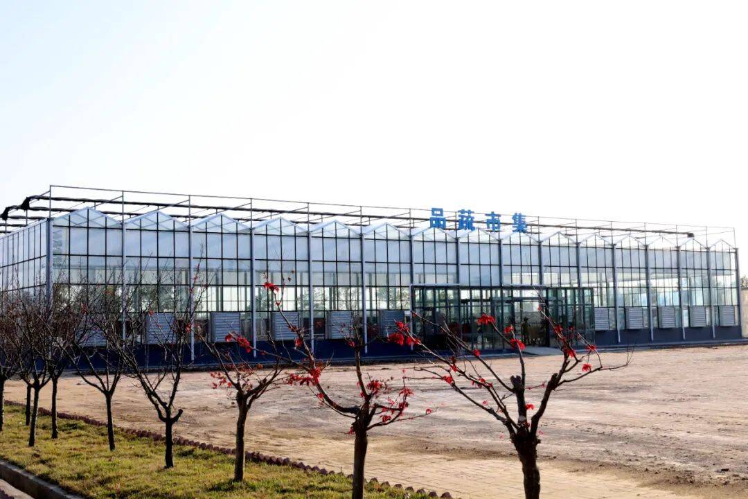 威海经开区龙山湖:用创意点亮乡村振兴之路