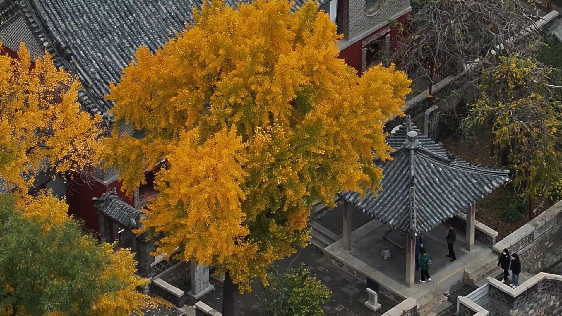 泰安六朝古刹普照寺 五彩斑斓宁谧浪漫