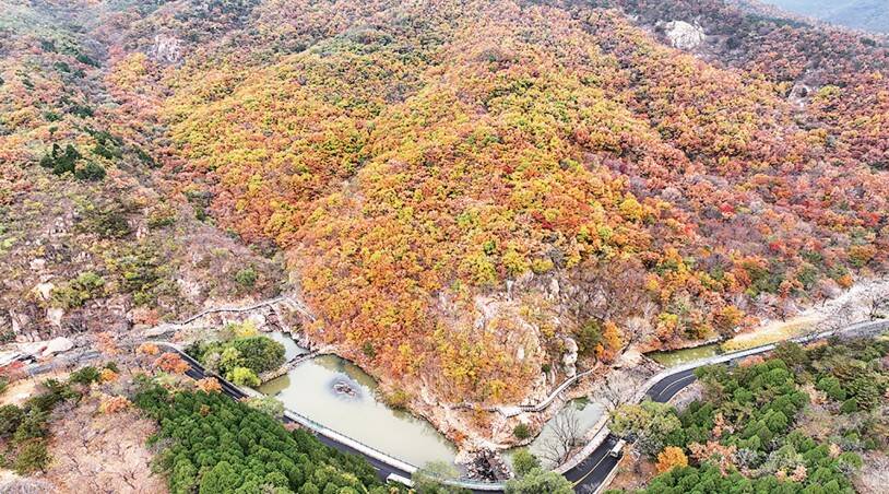 天下泰山丨初冬存秋意 美景入画来