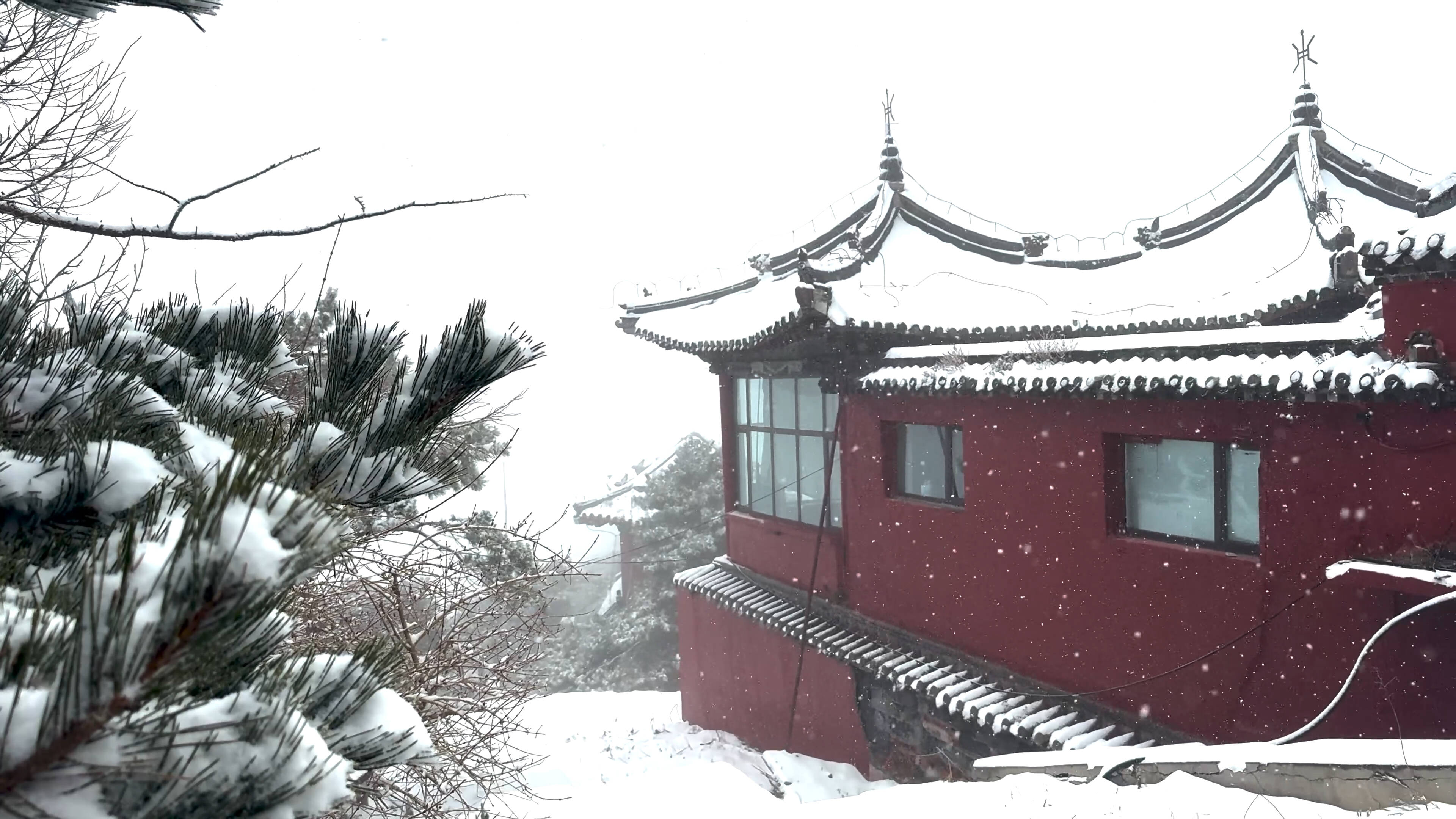 成山頭已降大雪！山東14縣(區市)出現降雪 煙威部分地區未來三天降雪持續