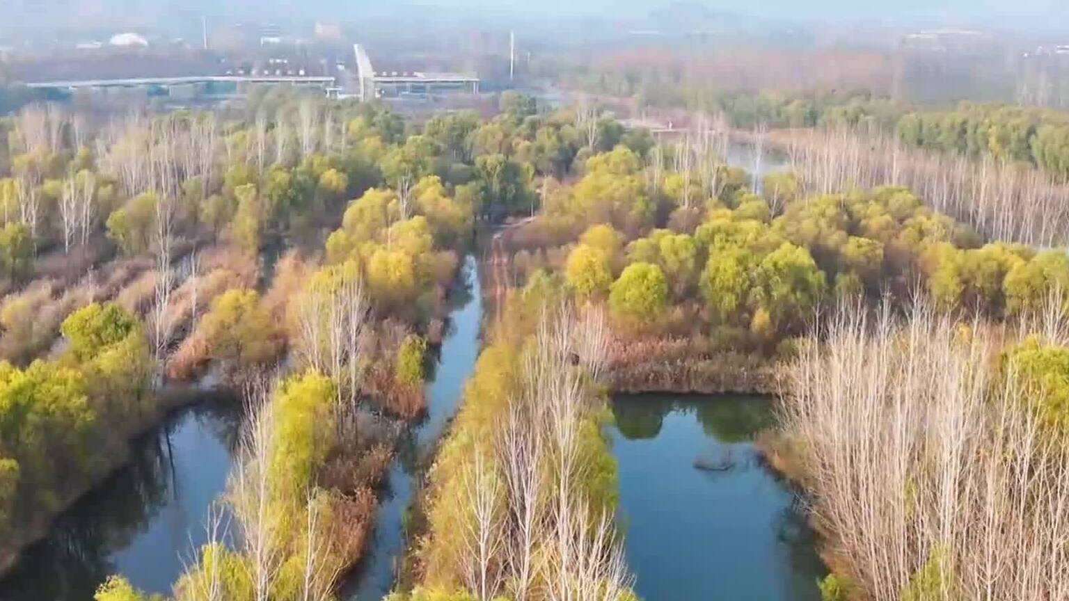 诗画山东｜乘一叶扁舟赏层林尽染  微山湖红荷湿地冬日别样美