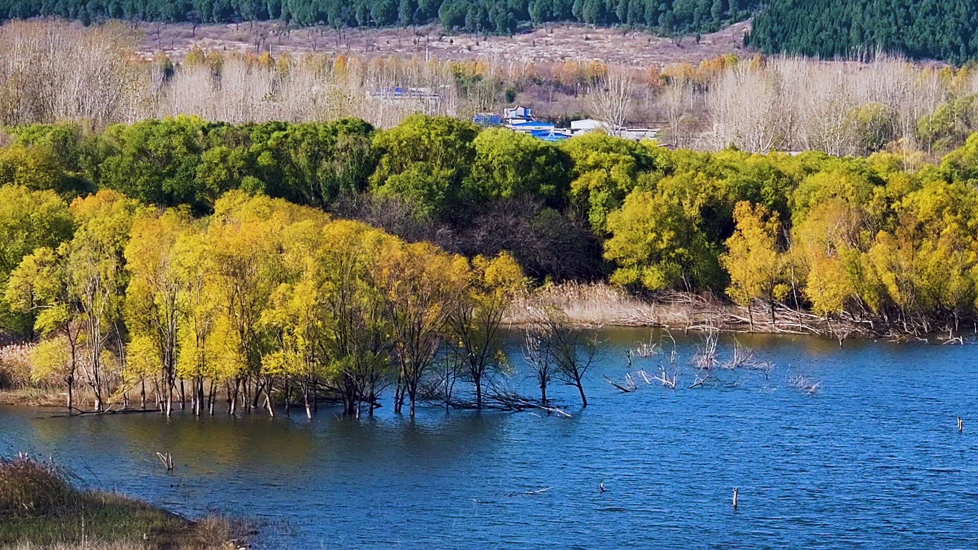 诗画山东丨静谧优美 枣庄黑峪水库诗情画意惹人醉