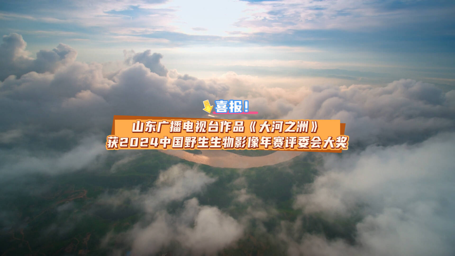 山東廣播電視臺作品《大河之洲》獲2024中國野生生物影像年賽評委會大獎