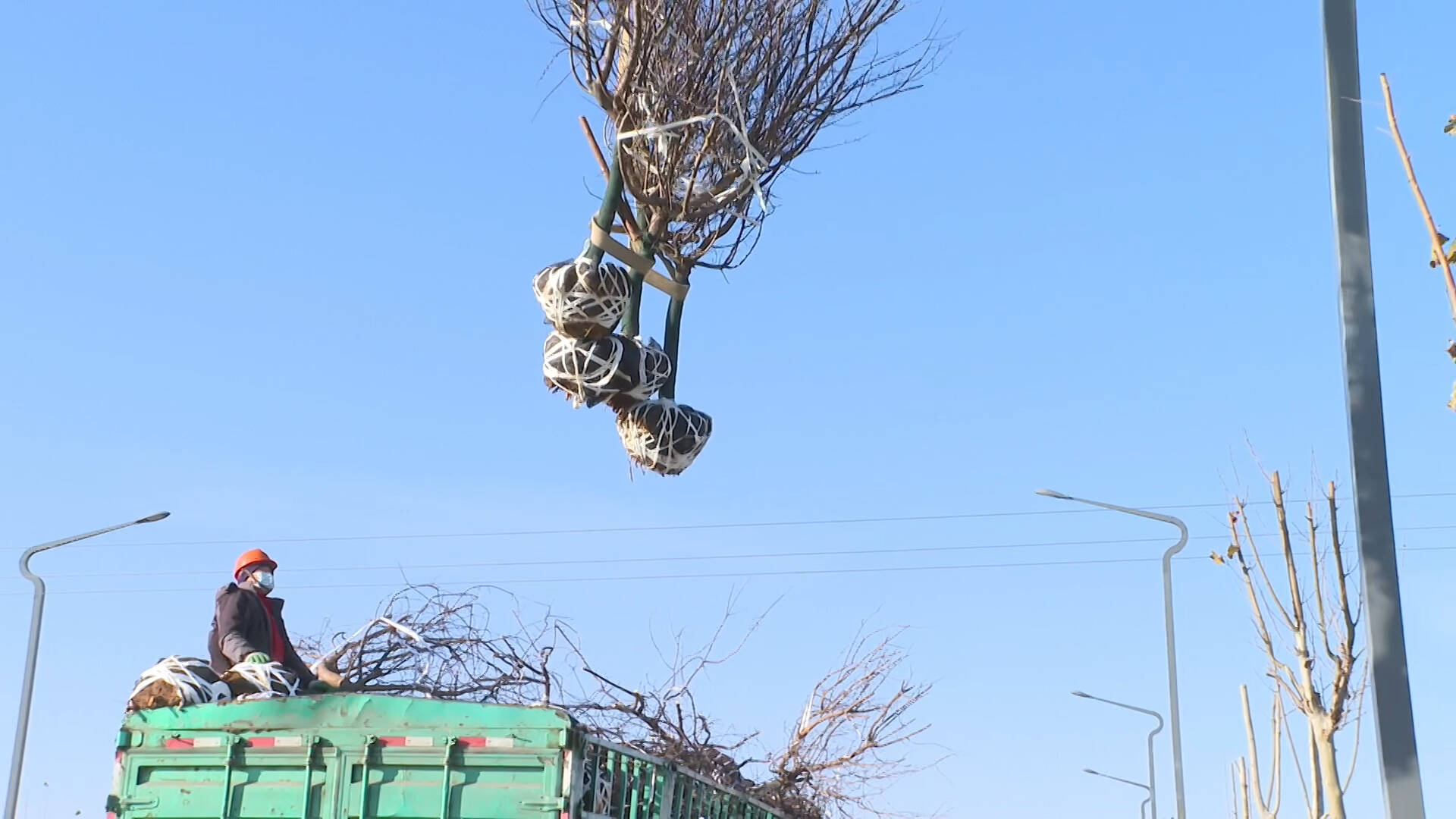 东营市河口区：黄河路东延路域精细化提升工程近尾声 打造城市绿色走廊星空体育网址(图1)