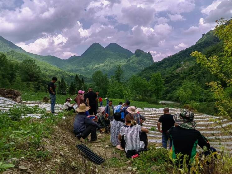 制造业转型升级势头强劲