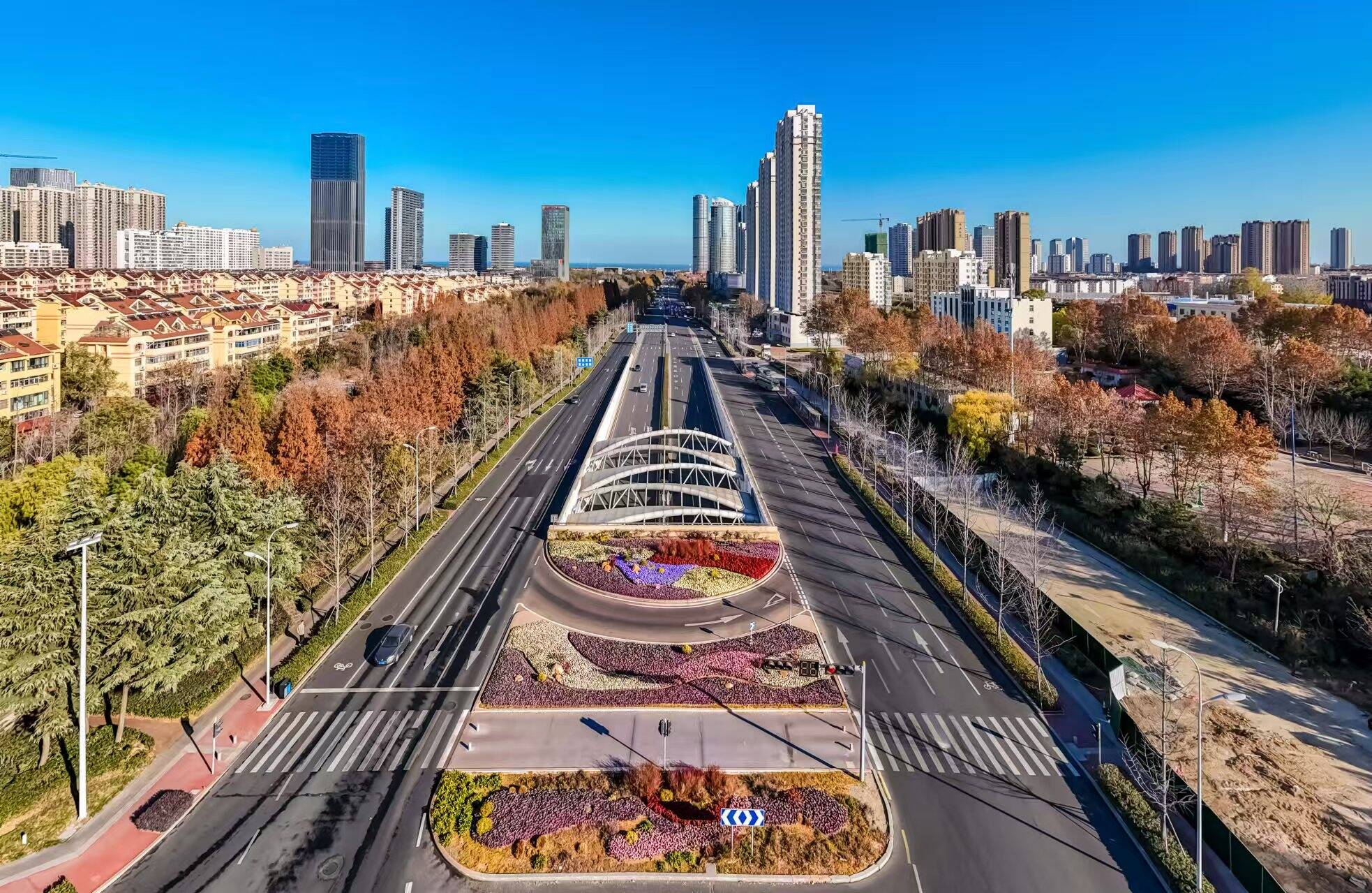 日照19万株时令花卉“换新”， 扮靓城市冬景