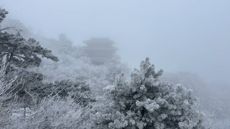 泰山迎今冬第二场降雪 景区暂停开放