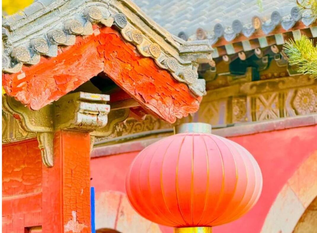 组图丨暖阳穿古木 岱庙冬韵浓