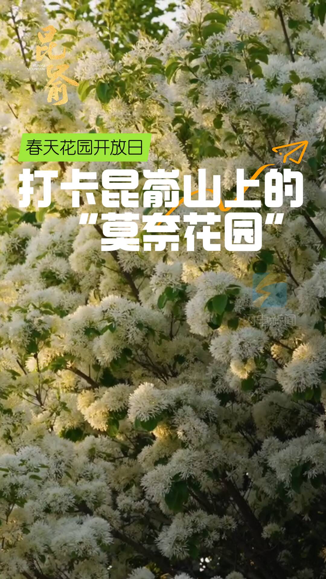 昆崳｜春天花園開放日 打卡昆崳山上的“莫奈花園”