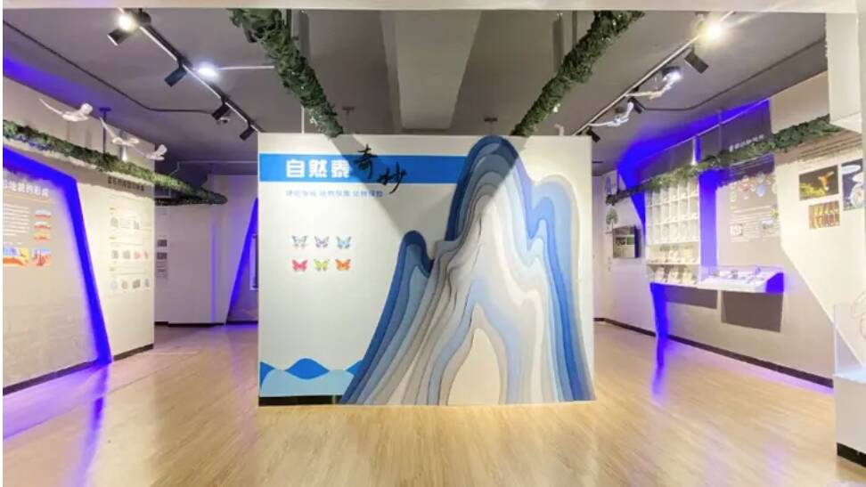 上新！泰安市科技馆自然“泰”奇妙展厅试运行开放
