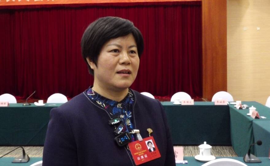 两会声音丨日照市人大代表季英臻：把扎实推进重点项目落地服务作为街道工作“头号工程”