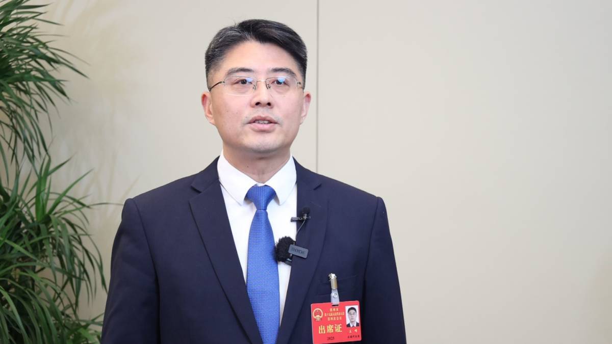 2025德州两会｜市人大代表王峰：打造“一轴两翼多点”县域商业体系 建设鲁北冀南区域消费集聚区