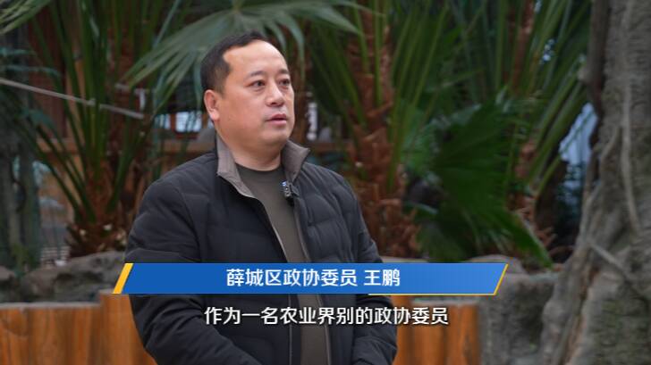 枣庄市薛城区政协委员王鹏：以园林匠心 贡献社会发展之力