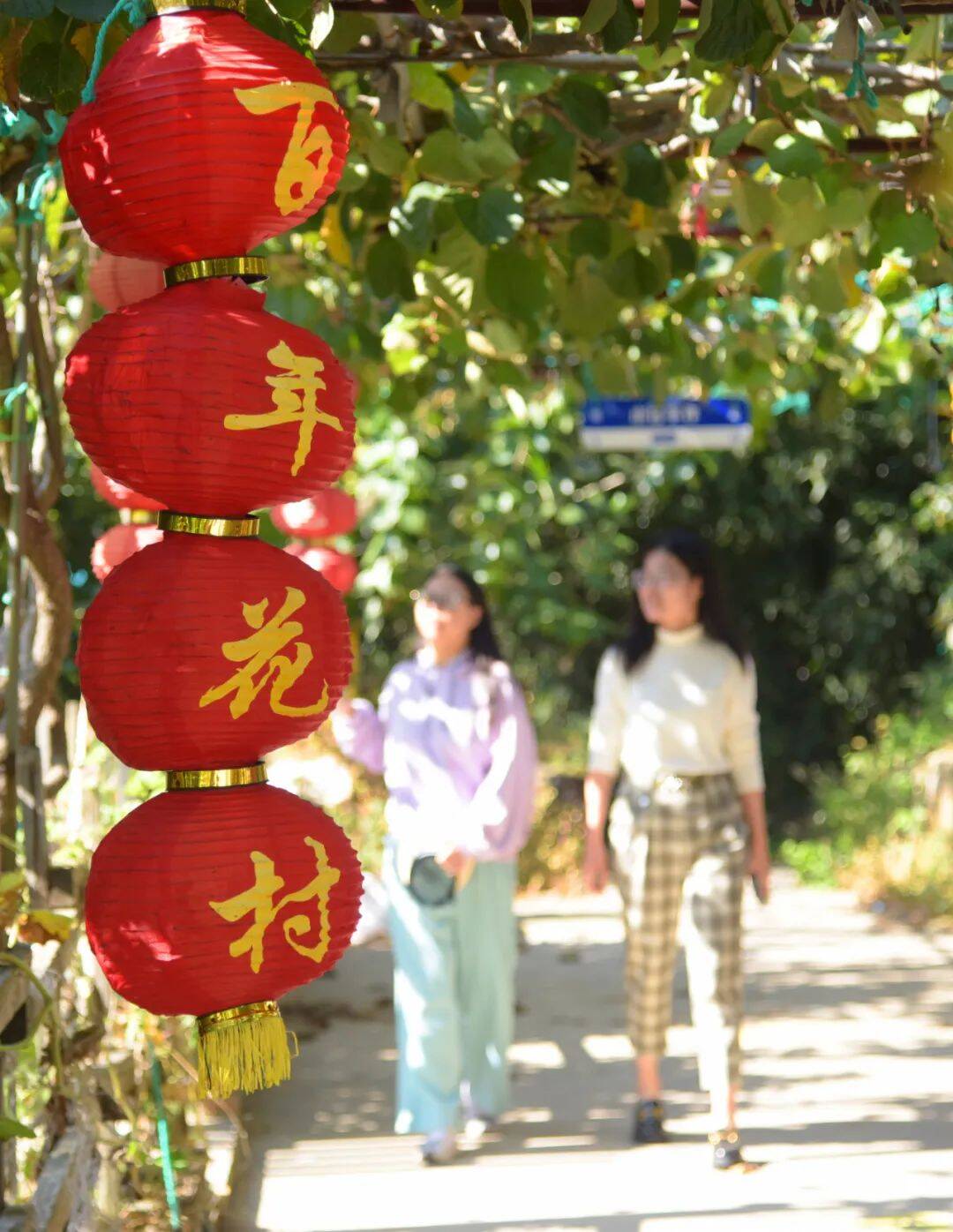 荣成石岛花村图片