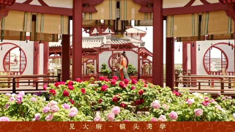 何以“国色”引“芳华”