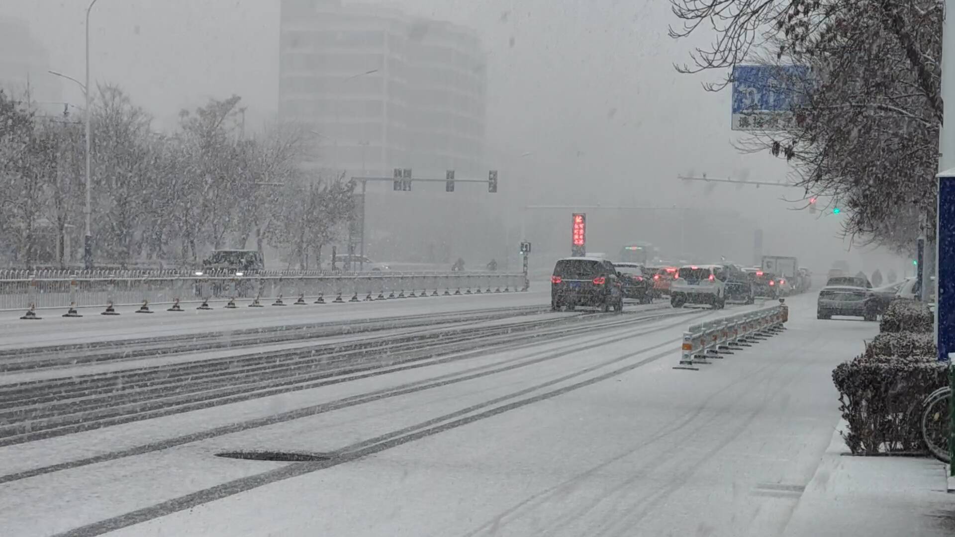 东营市发布雪情通报 全市平均降雪量达1.3毫米