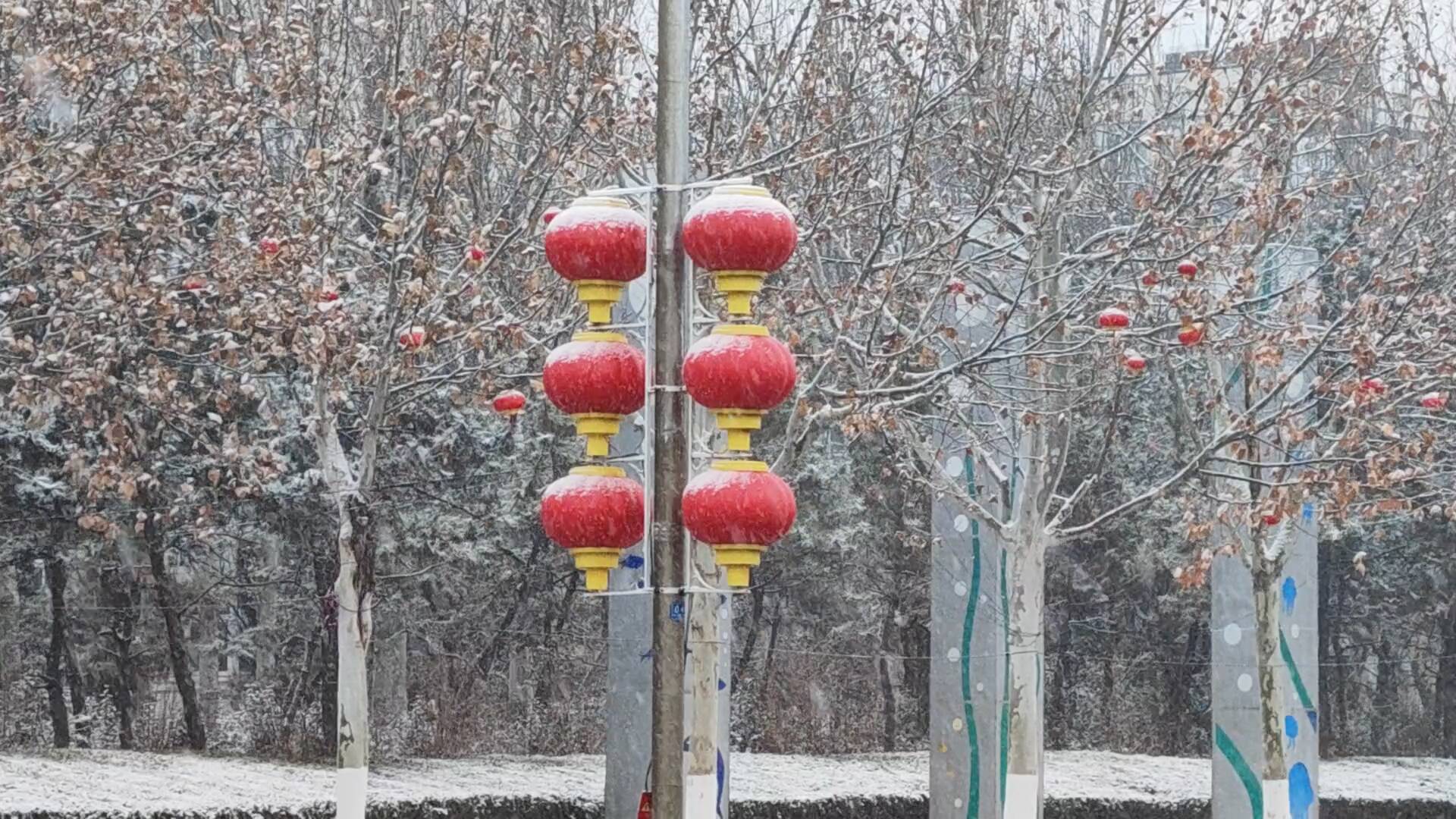 银装素裹满油城 东营迎来2025年首场降雪