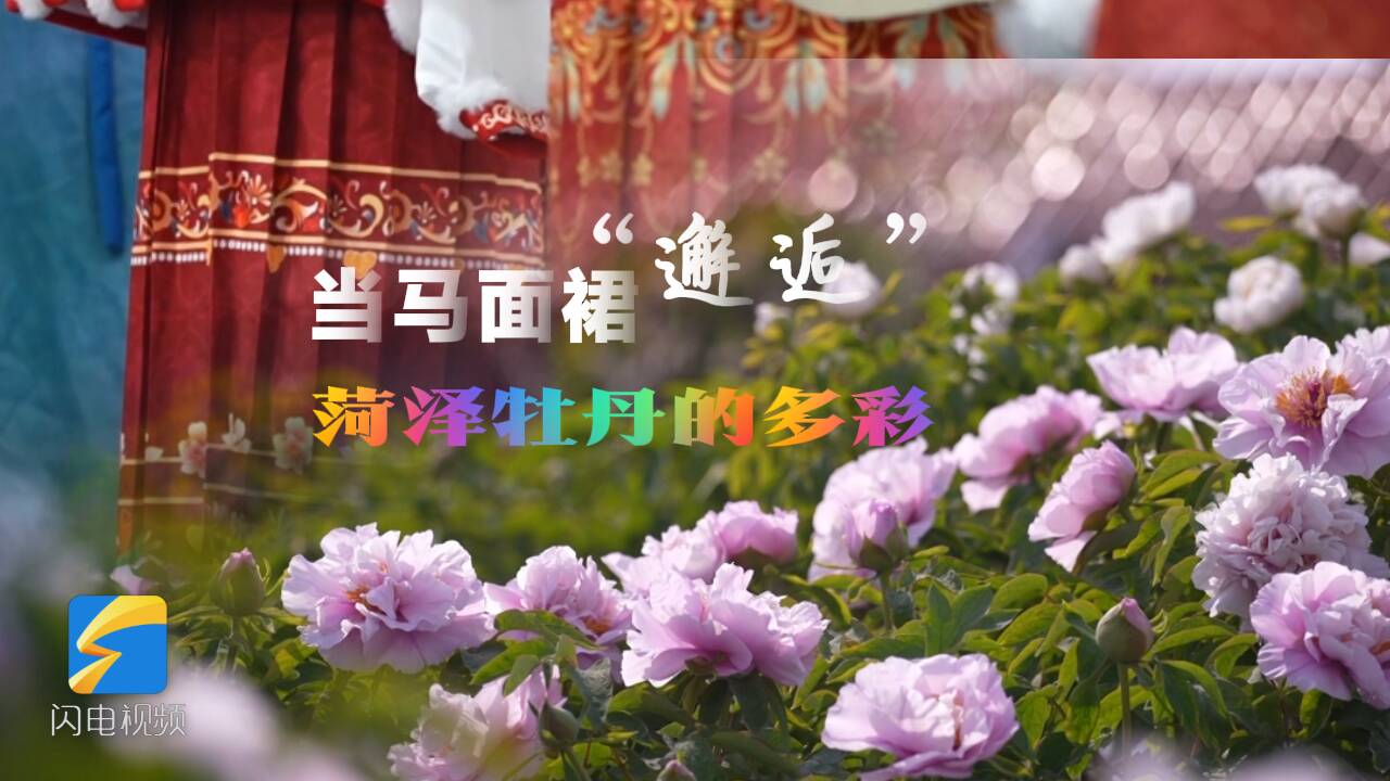 當馬面裙“邂逅”菏澤牡丹的多彩 這份浪漫請收好