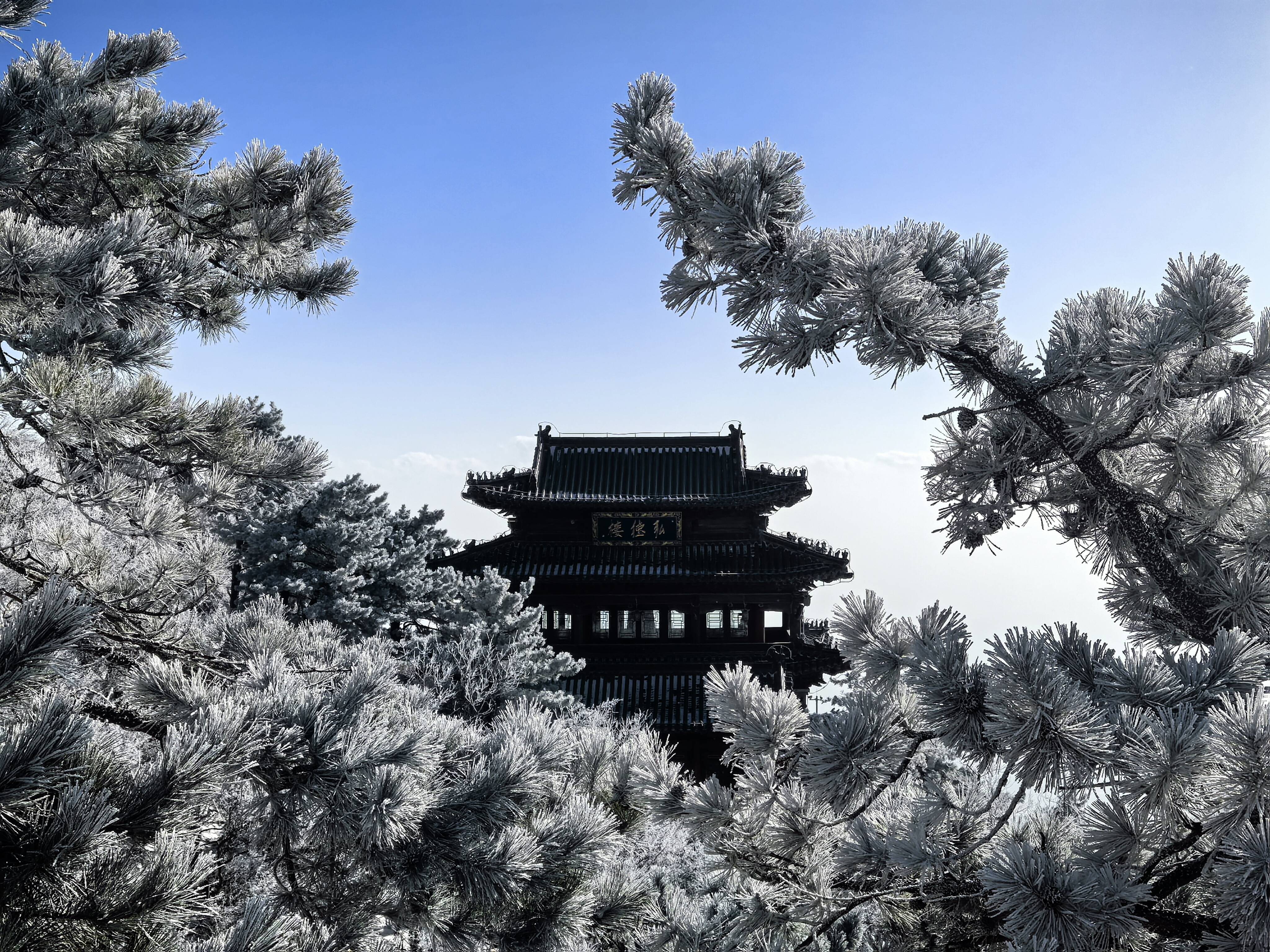 1月26日15:16起 泰山景区有序恢复开放
