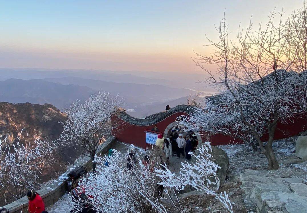 组图丨初晨邂逅泰山雾凇的梦幻之境