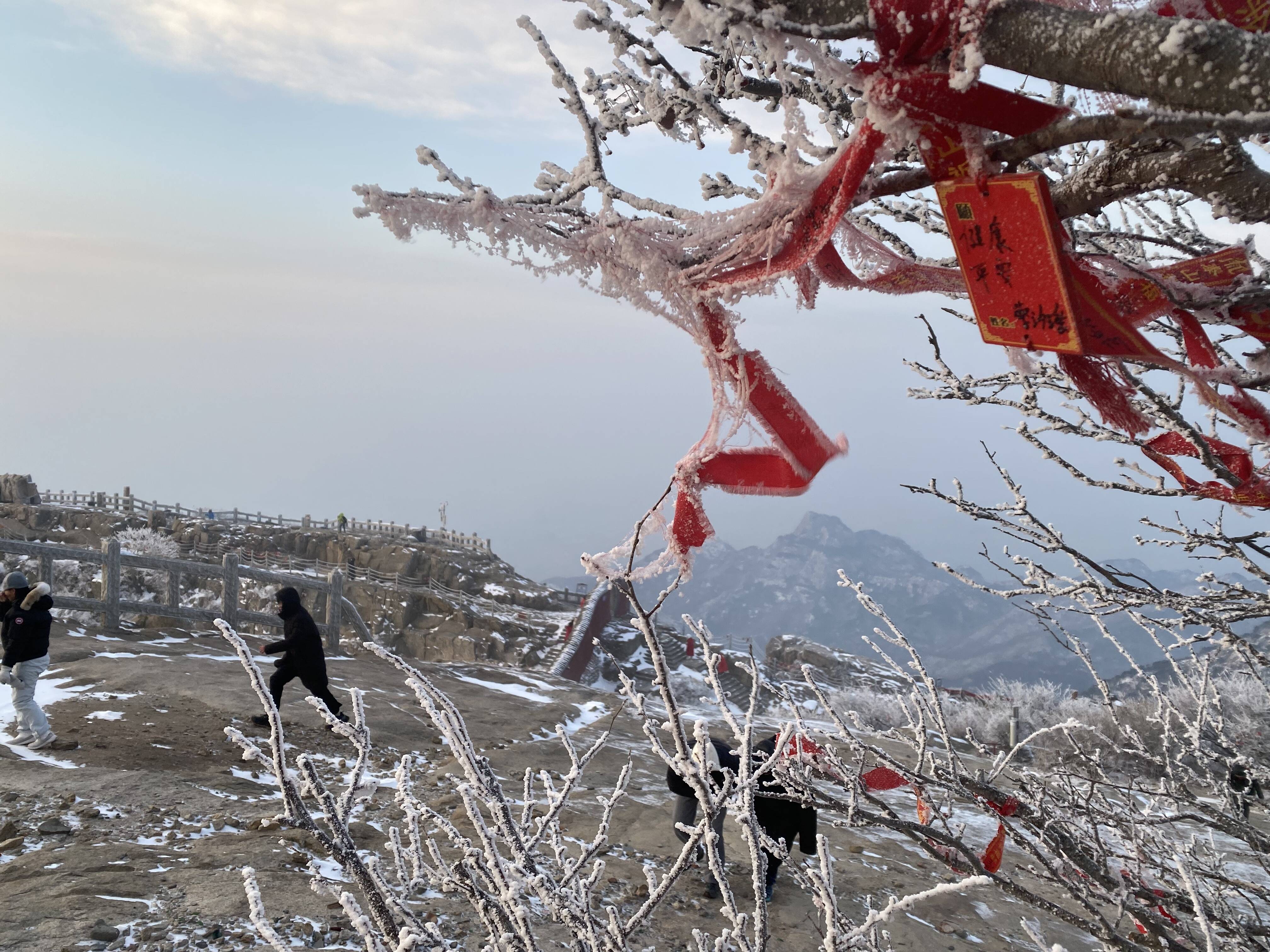 今日10:00起 泰山景区3条线路先行恢复开放