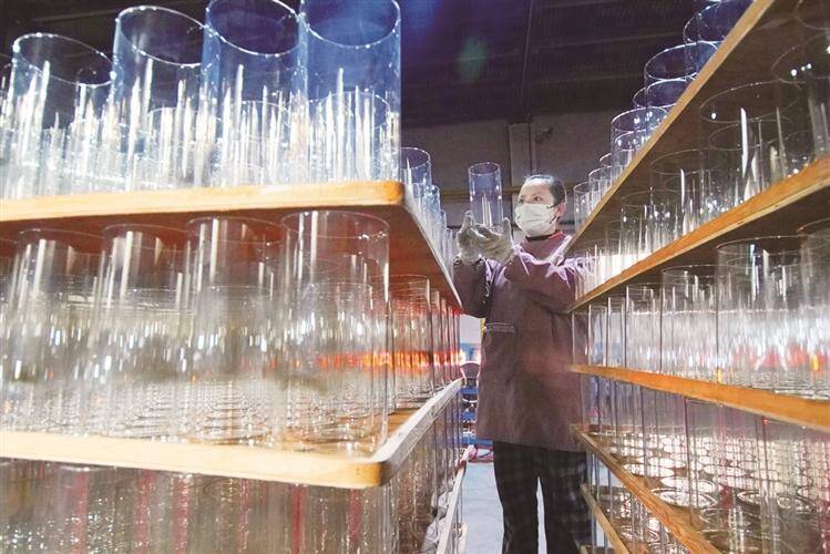 淄博：开足马力赶订单