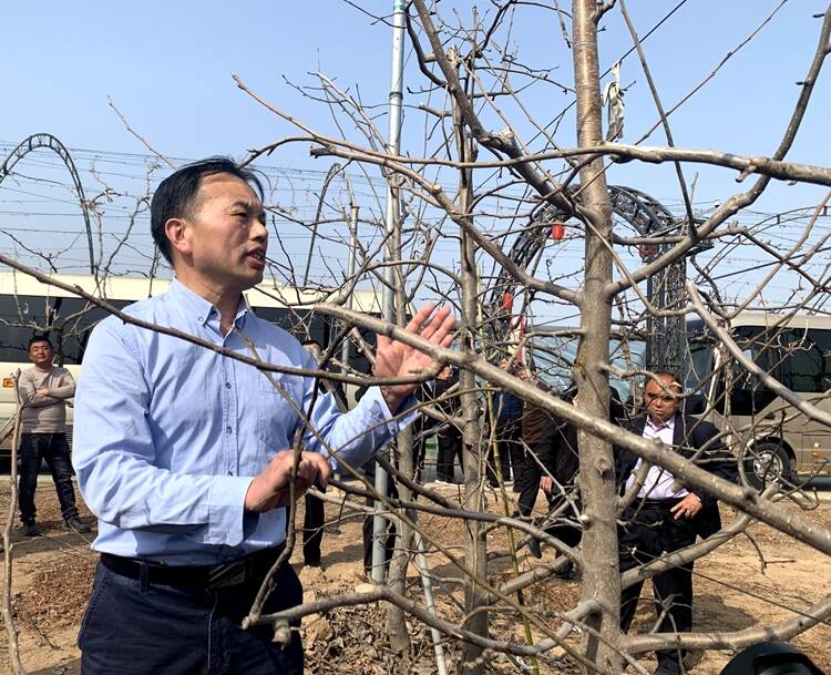 菏泽林业专家王海明：四十年如一日 做好生态文明的守护者